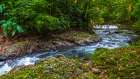 Forest stream in Corcovado National Park, Puntarenas Province, Costa Rica Art Print